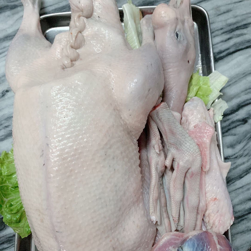 广东清远黑棕鹅农家散养新鲜大鹅肉整只活体现杀白草鹅冰冷冻老鹅 腾