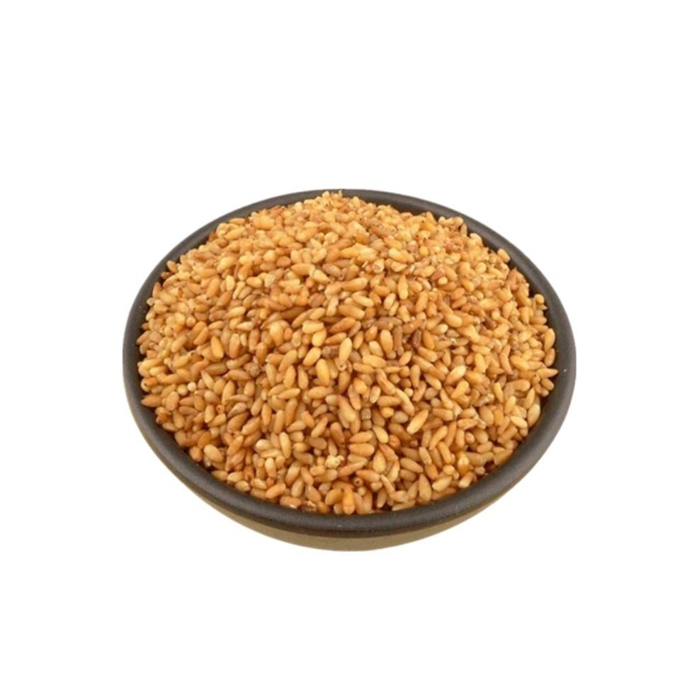 柏子仁中药材无壳柏籽仁去壳柏子仁茶中草药1500克