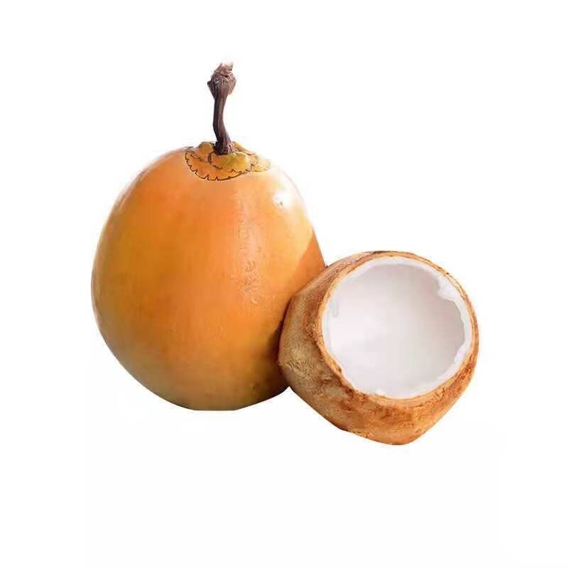 椰子新鲜海南农家肥种植黄金椰子批发一件也批发价黄金椰子4个装送开