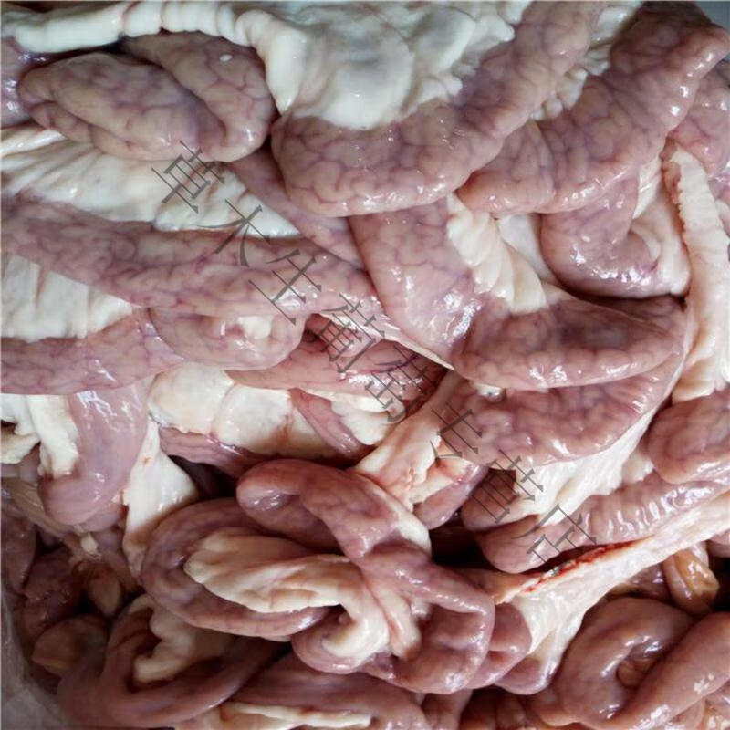 农家散养新鲜黑猪粉肠猪白切肠生粉肠猪下水新鲜现杀苦肠小肠 2斤