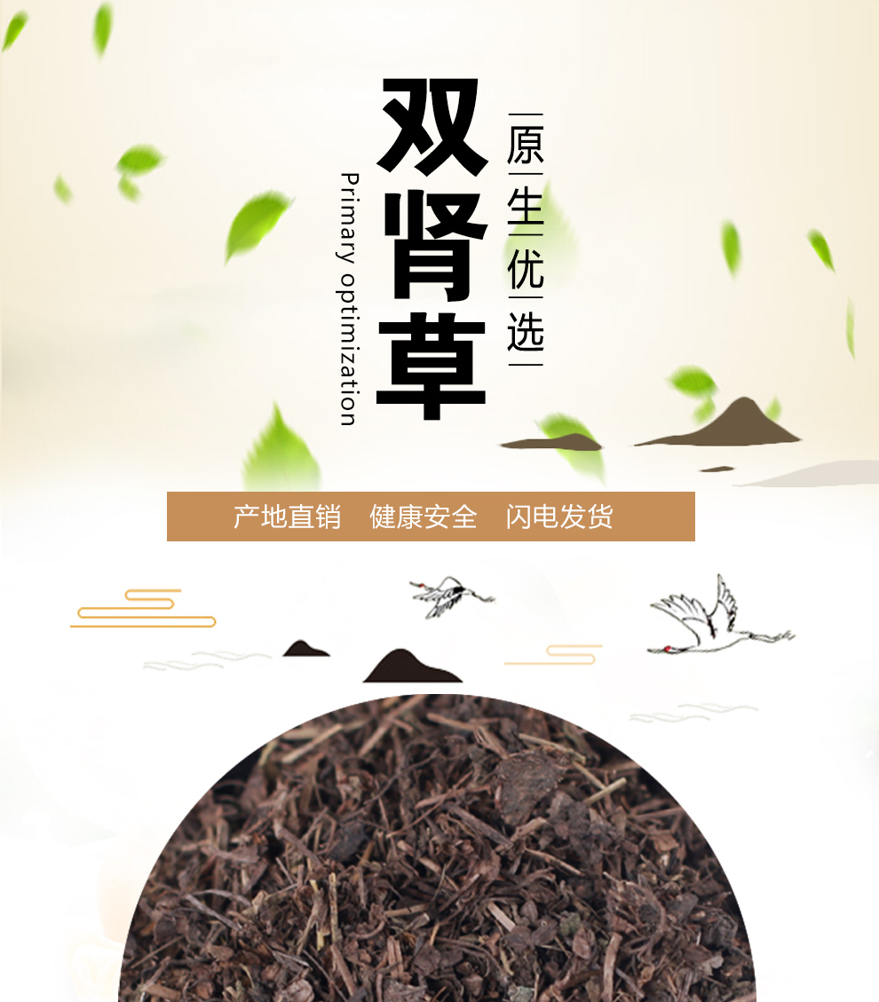 肾经草的功效与作用图片