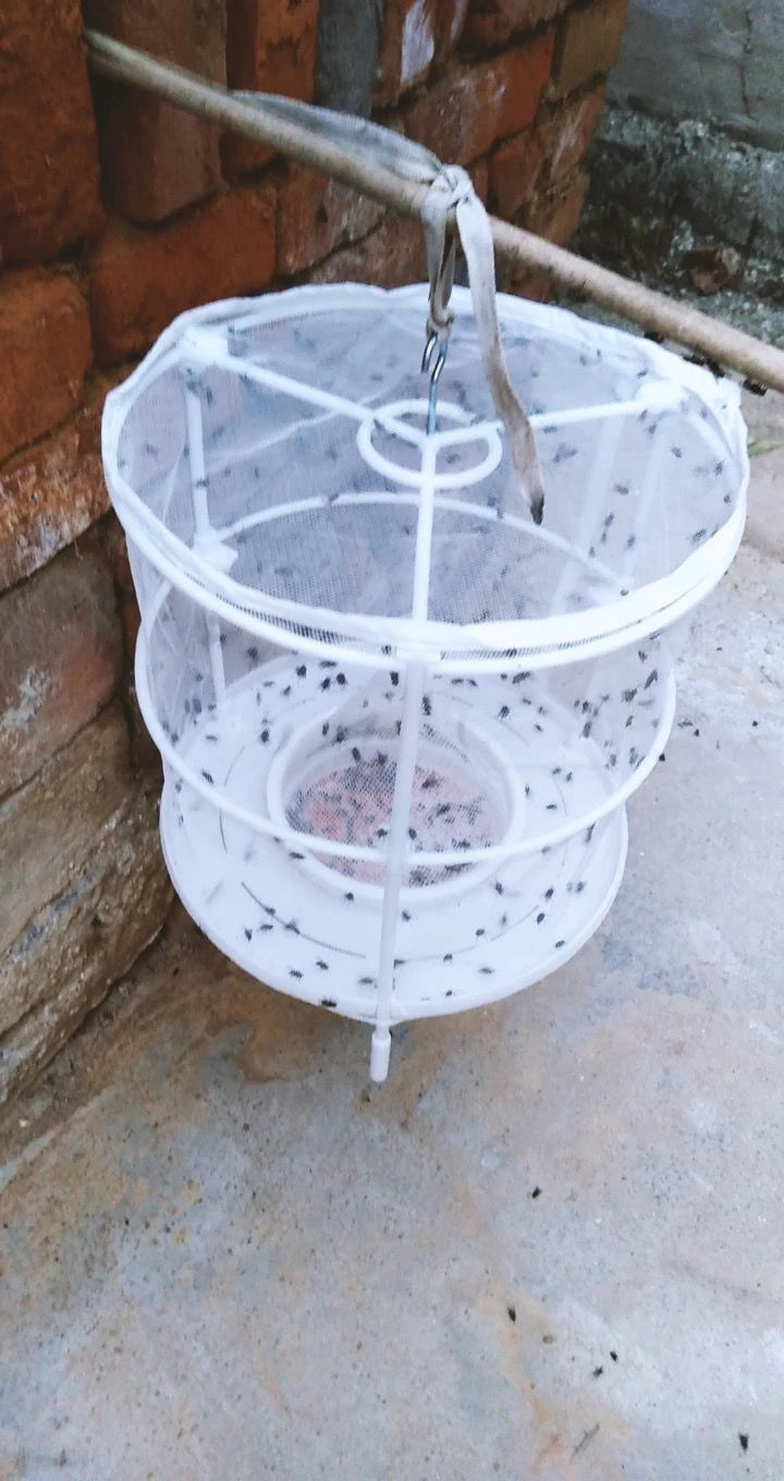 捕苍蝇笼灭苍蝇捕蝇苍蝇药苍蝇笼家用强力灭蝇器灭蝇抓苍蝇笼白色笼子