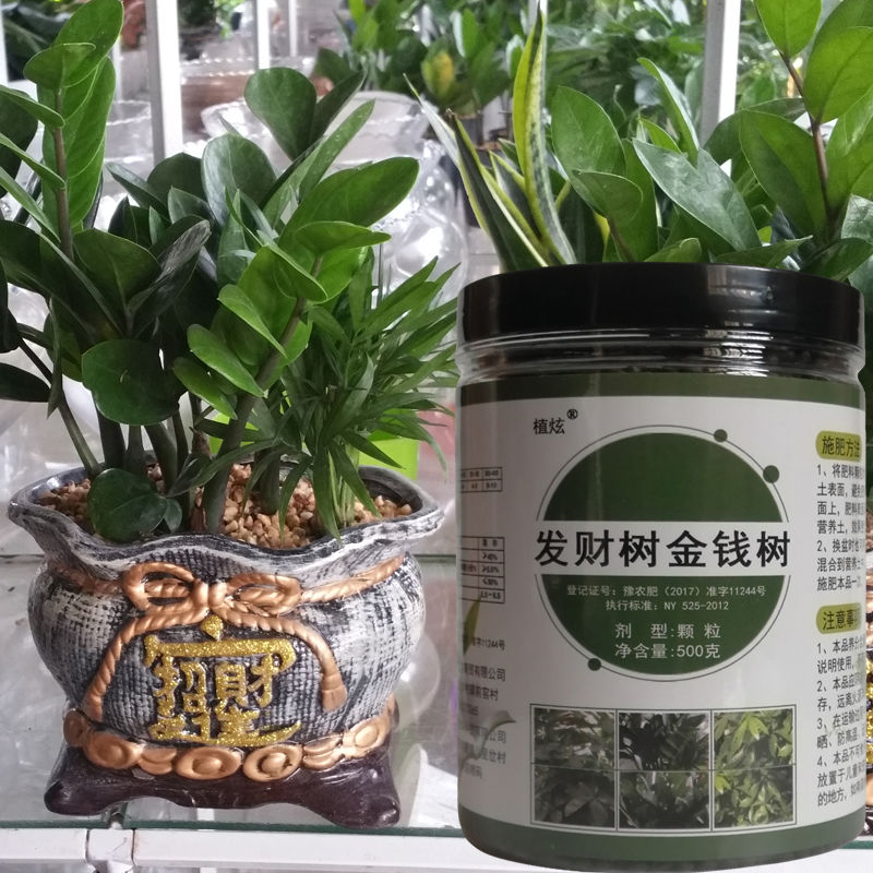 金钱树专用肥发财树肥料专用肥金钱树专用土摇钱树盆栽营养液钱串子