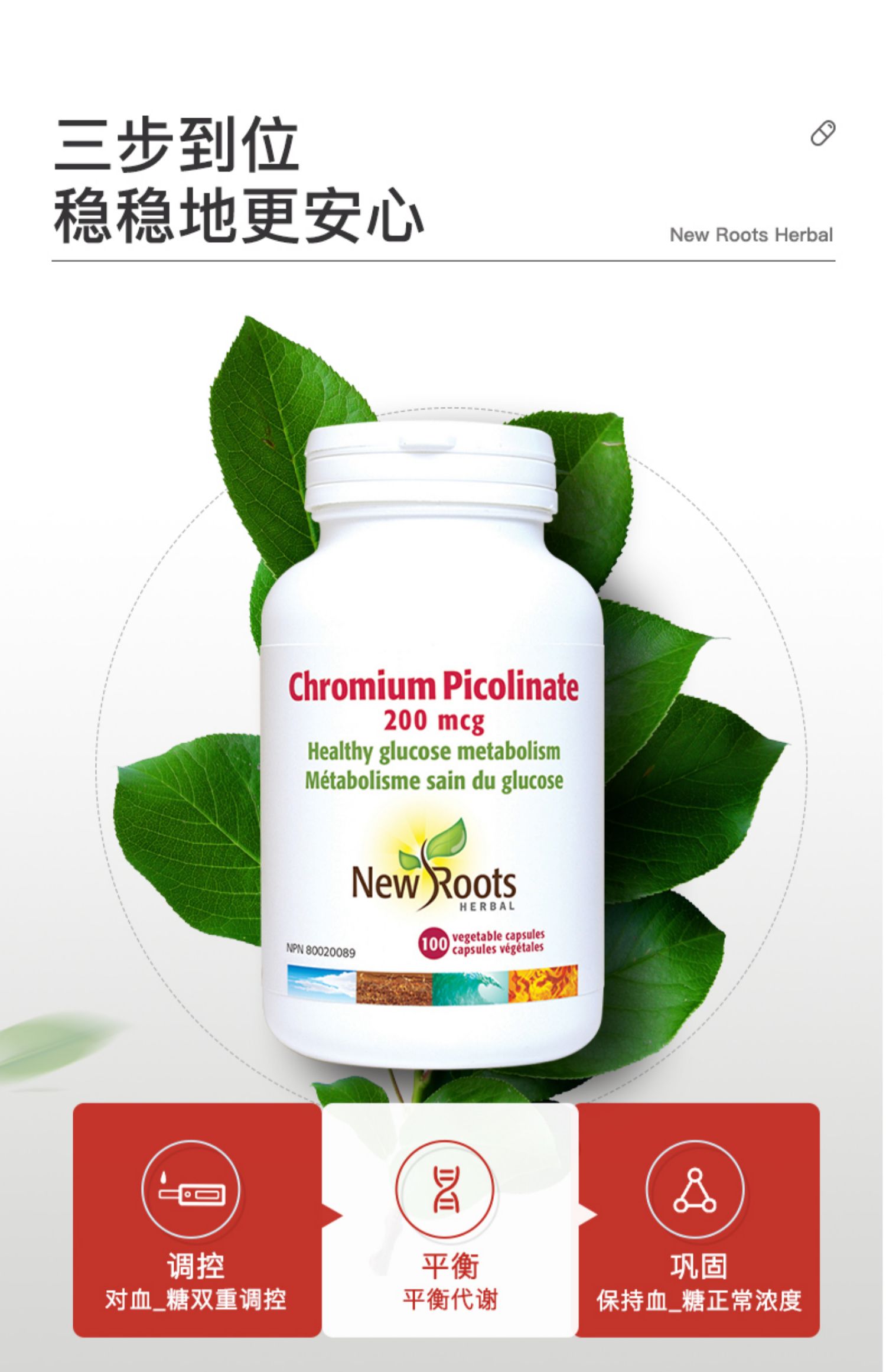 newroots吡啶甲酸铬元素100粒促糖口服岛素促加拿大铬片