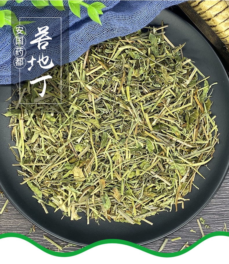 苦地丁草500g克中药材地丁草新鲜干货干净道地原材散装【图片 价格