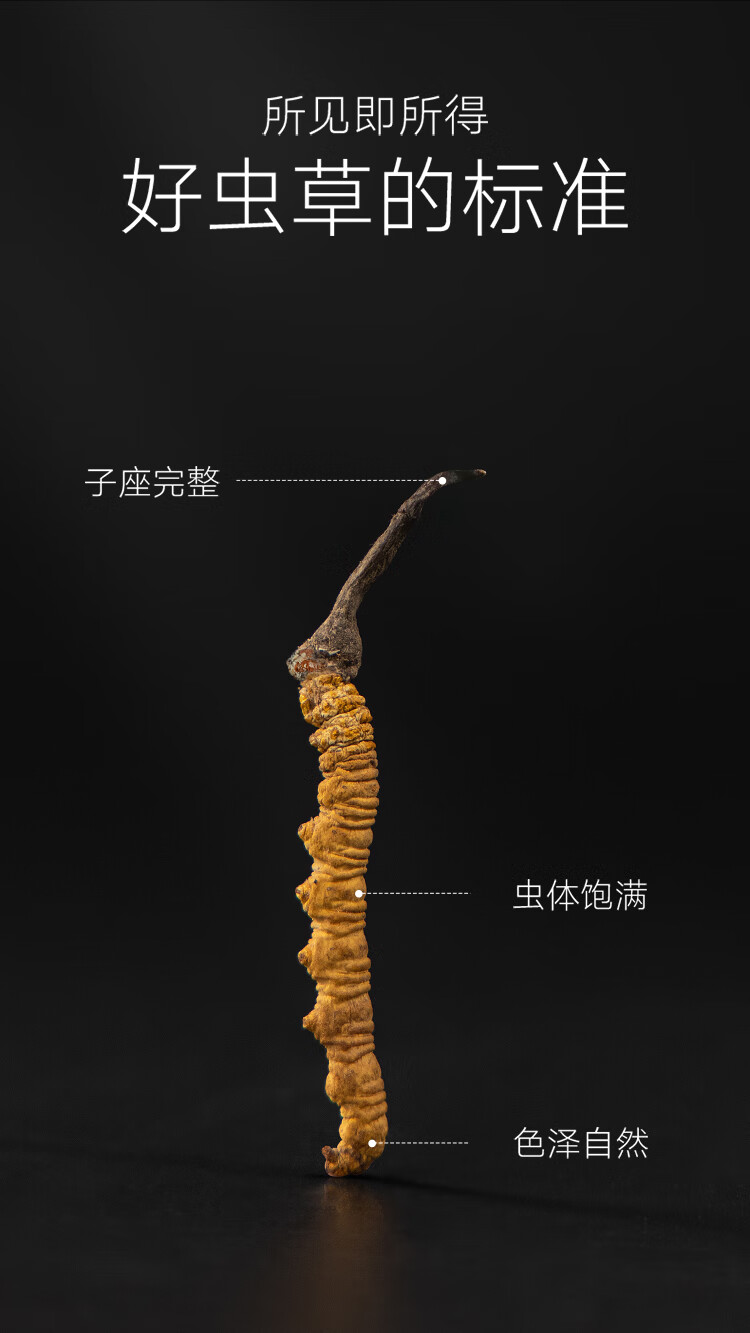 9d88c713c1b9da83.jpg