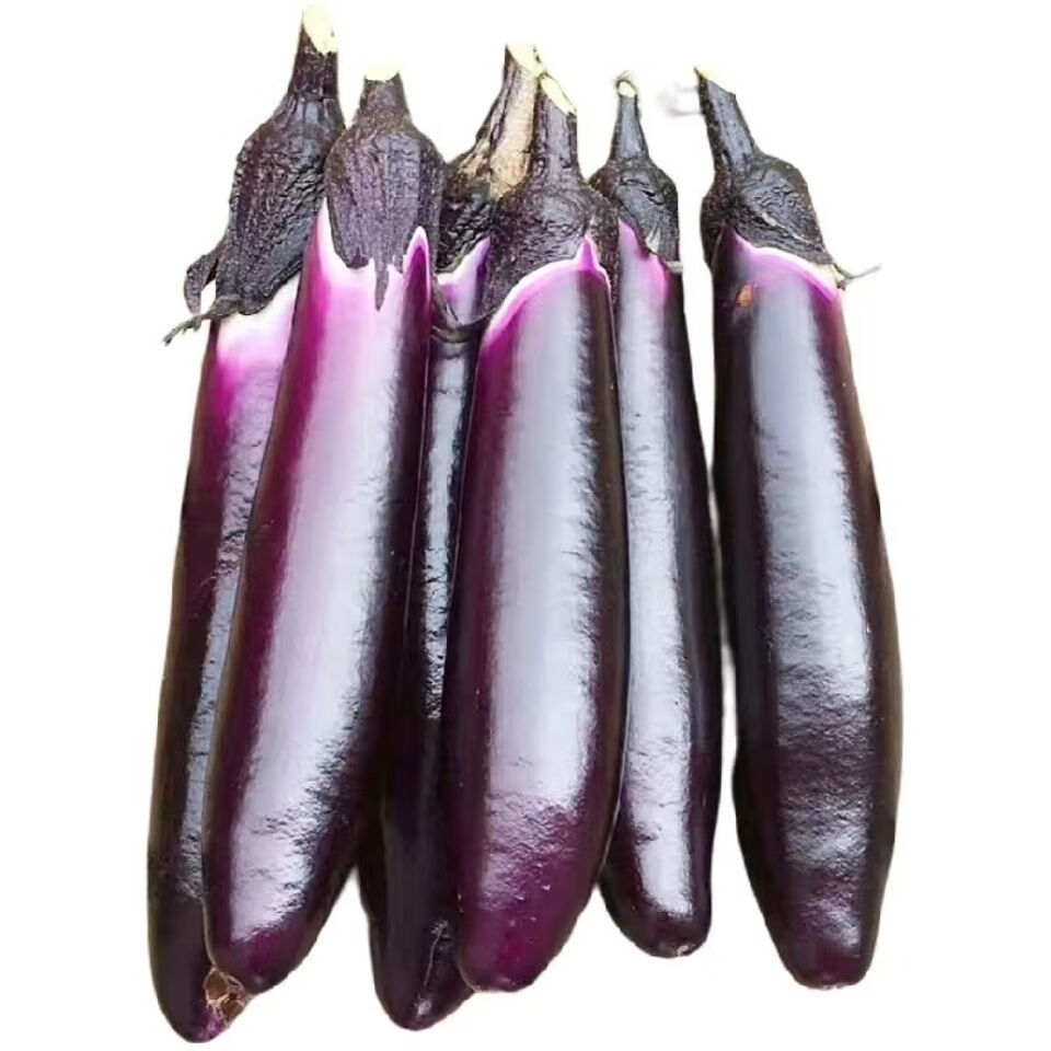 云南高山紫皮茄子红茄子紫茄子农家自种新鲜现摘长茄子紫红长茄子更多
