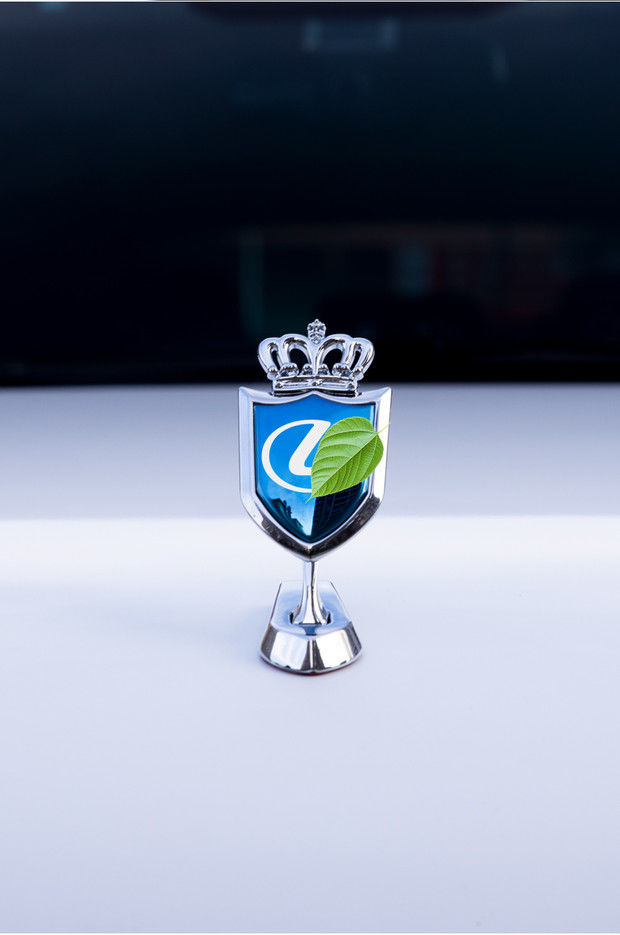 适用雷克萨斯rxnxuxct立标改装配件装饰外观车标贴前脸引擎机盖贴