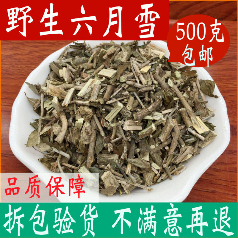 六月雪野生六月雪白马骨满天星中草药店铺5克试用装只有一点点