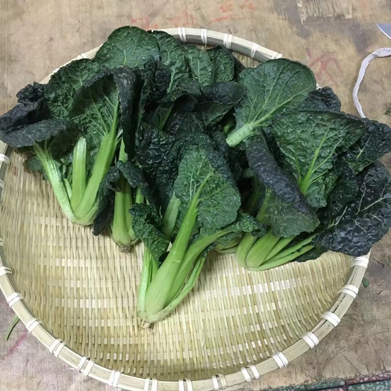 黑白菜新鲜蔬菜2/3斤农家乌塌菜黑心乌泡泡青菜乌白菜霜冻青菜 2斤