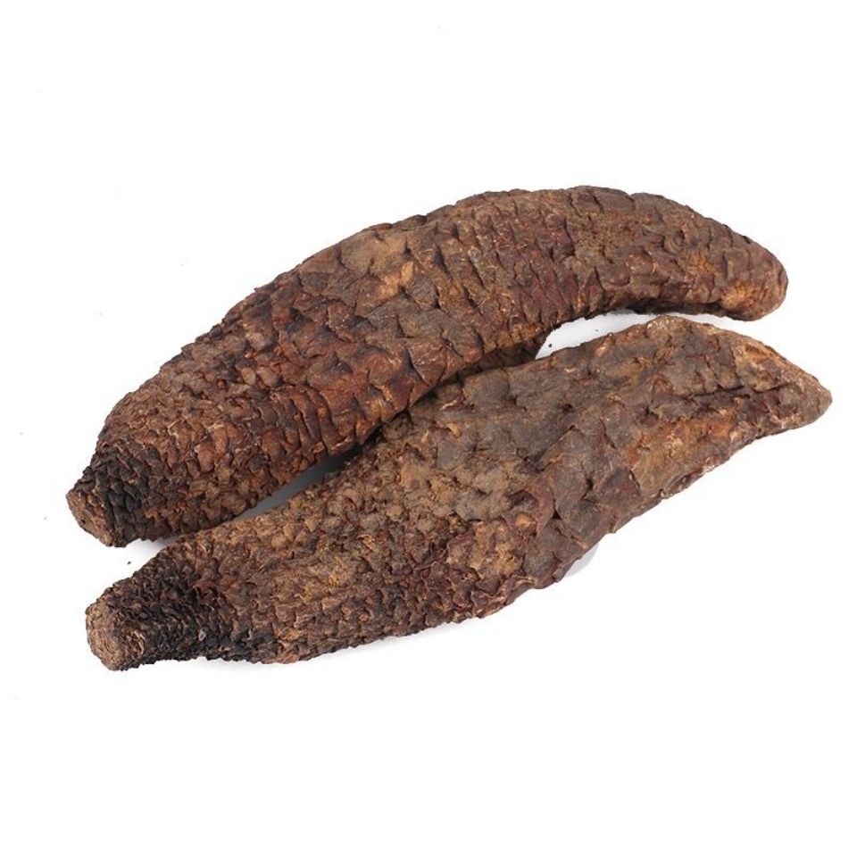 肉苁蓉整根 野生 新疆大芸个肉丛蓉肉松蓉 中药材 泡水泡茶泡酒料 肉