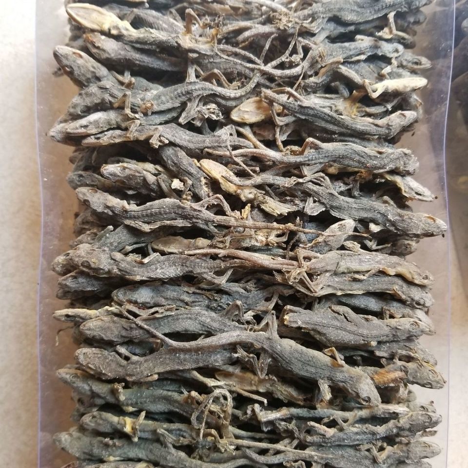 中药抓配抓道地药材另有中药材天龙壁虎干守宫代磨粉 壁虎粉粉 100克