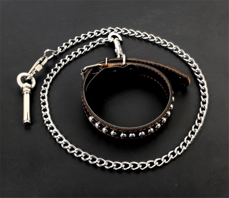 小郎人 栓狗固定器拴狗桩大型犬狗铁链子中型犬拴狗钉地桩钉宠物户外