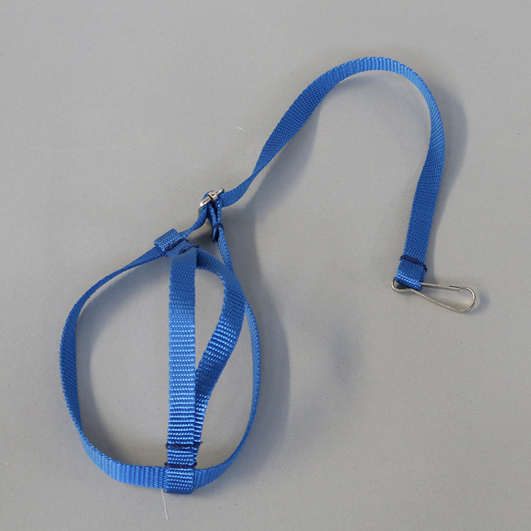 宠儿新家鹦鹉放飞绳背带式 外出遛鸟绳/牵引绳/训练绳/鹦鹉飞行绳