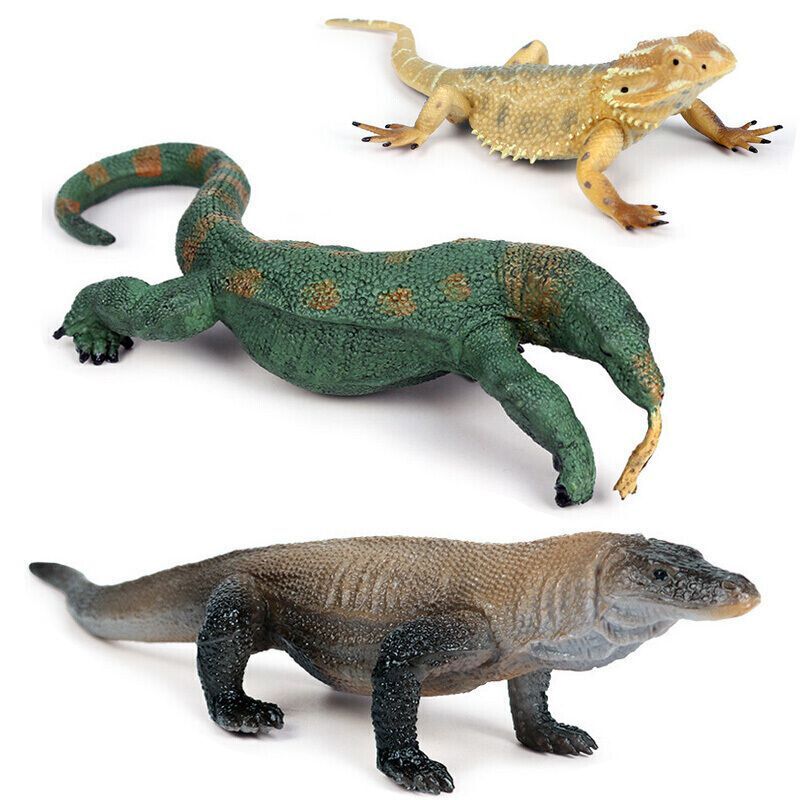 巨蜥仿真模型爬行动物蜥蜴科莫多龙玩具实心塑料仿真摆件 科莫多巨蜥a