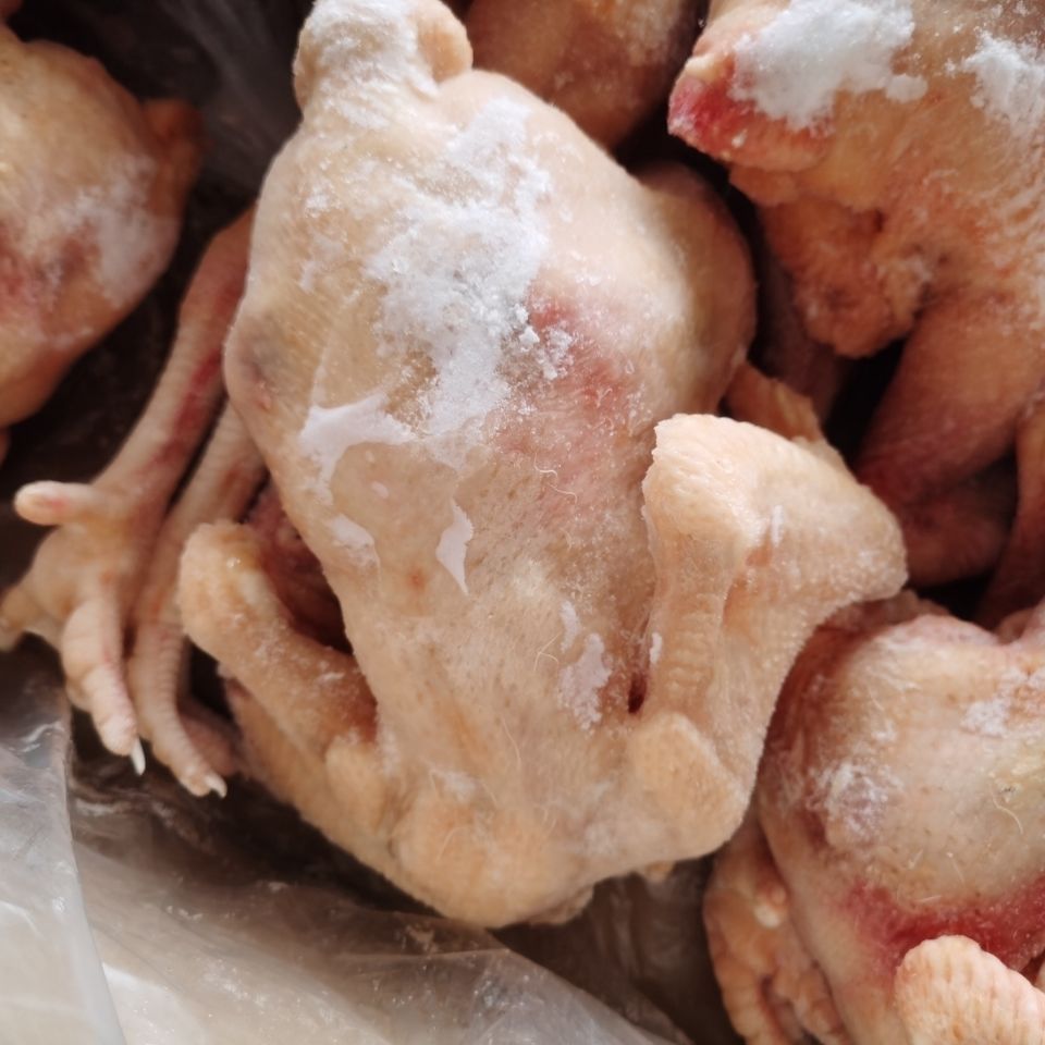 生鲜冷冻三黄鸡白条鸡直腿鸡79只装纯干货多省江西山东福建广东河南