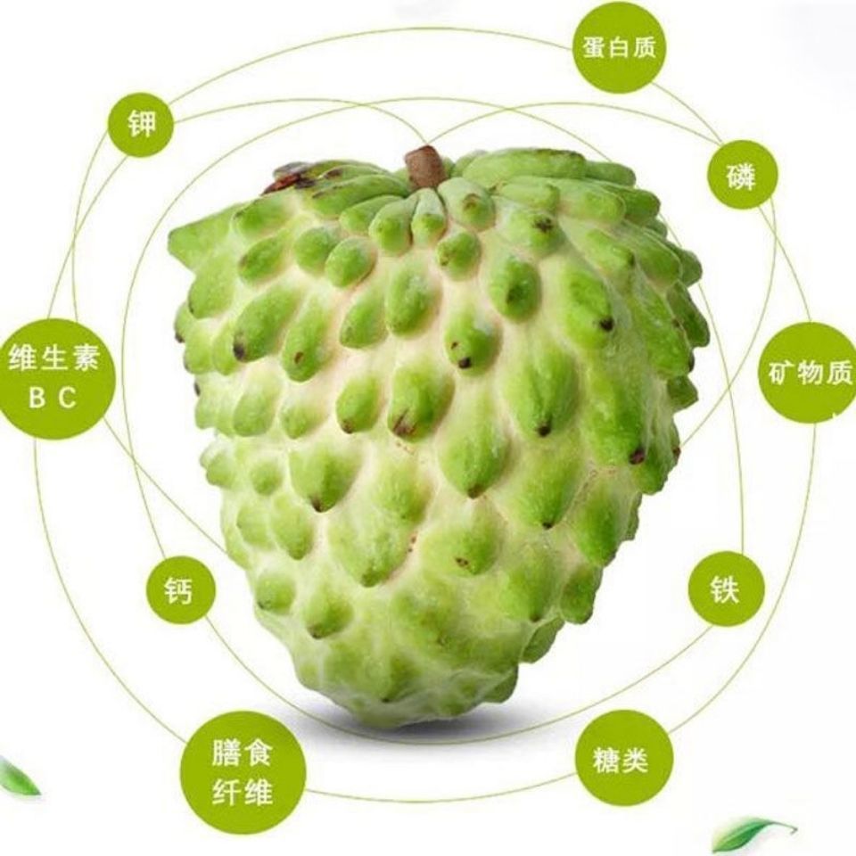 商品名称:【精品】牛奶凤梨释迦果林檎番荔枝新鲜当季水果热带稀有