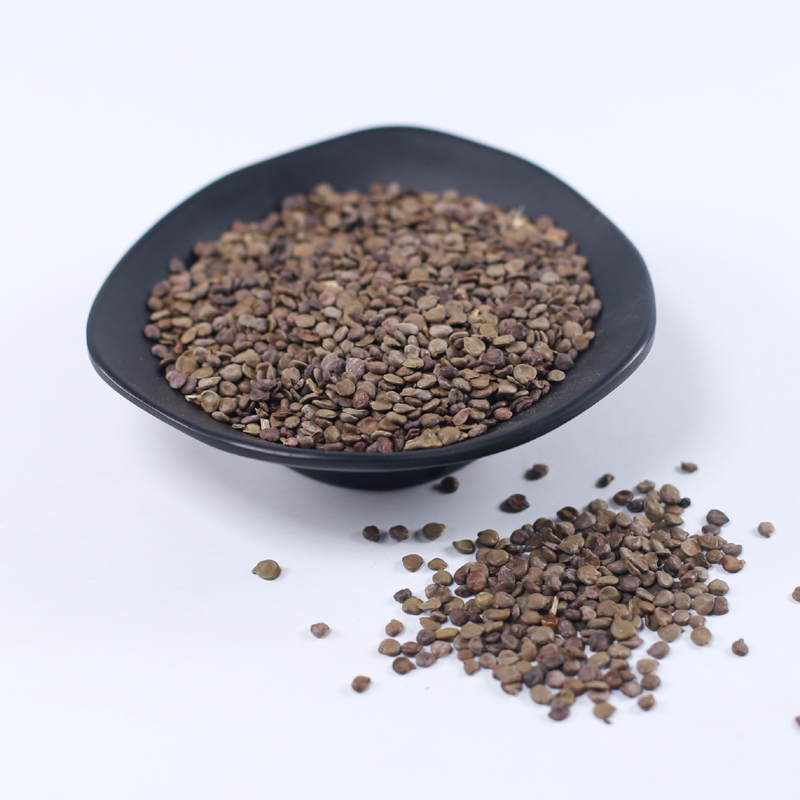 北京同仁堂望江南天然中药材散装500g望江南子籽羊角豆山绿豆伸筋豆假