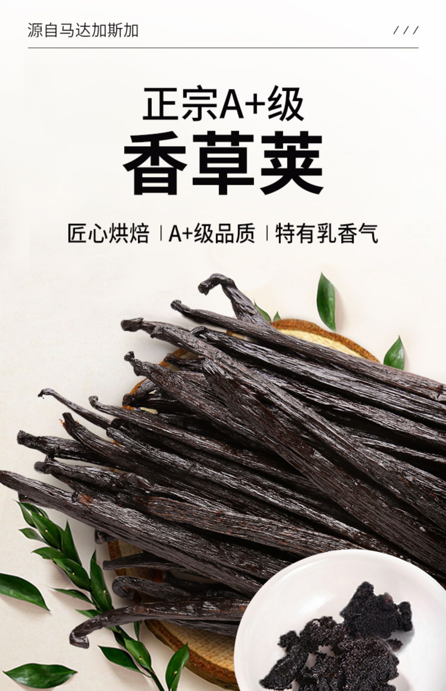 香草荚烘焙马达加斯加含籽香草夹香荚大溪地香荚兰 17