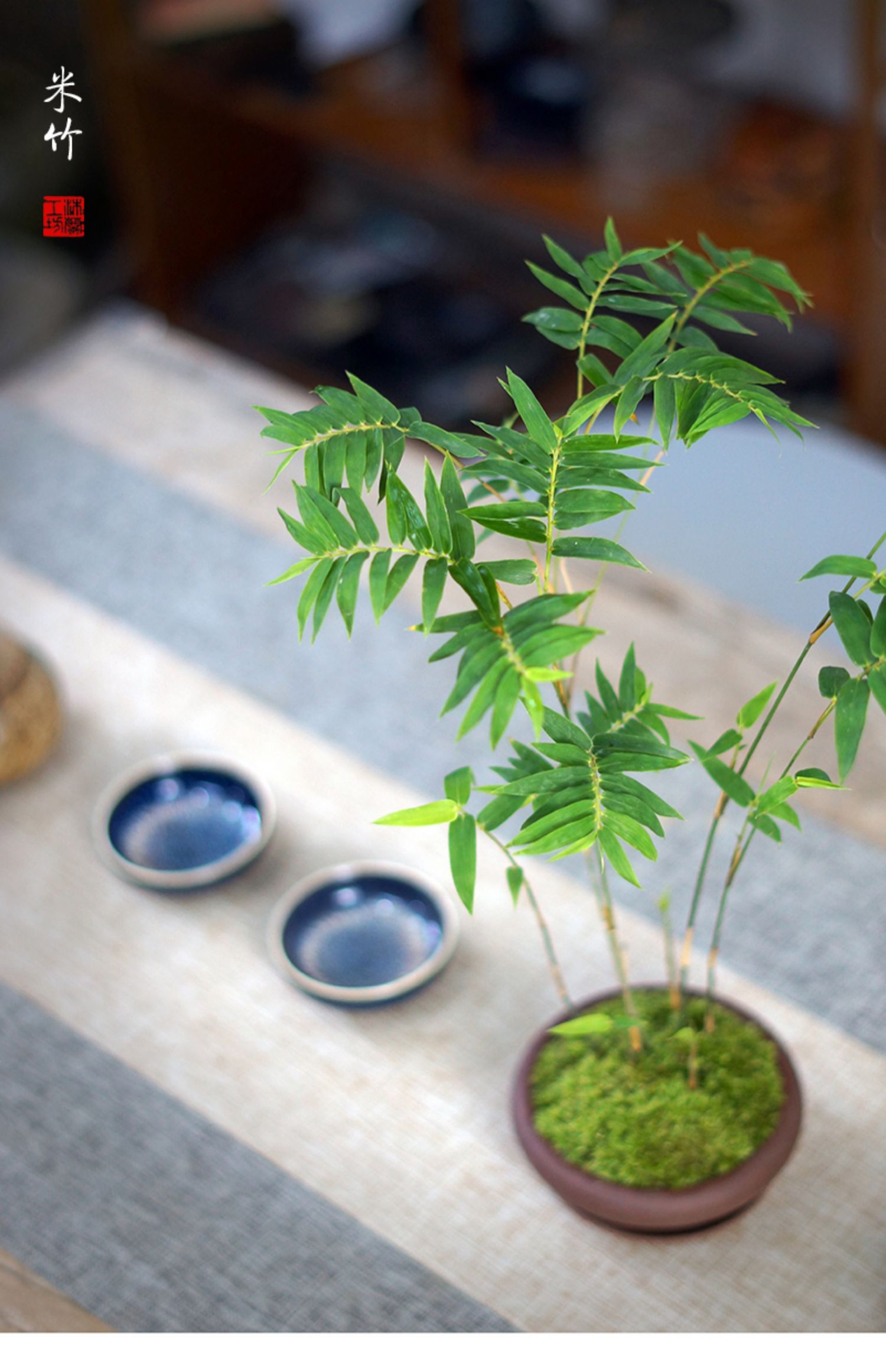 米竹青竹观音竹姬翠竹苔藓紫砂办公桌茶桌面中式禅意小盆栽盆景竹月
