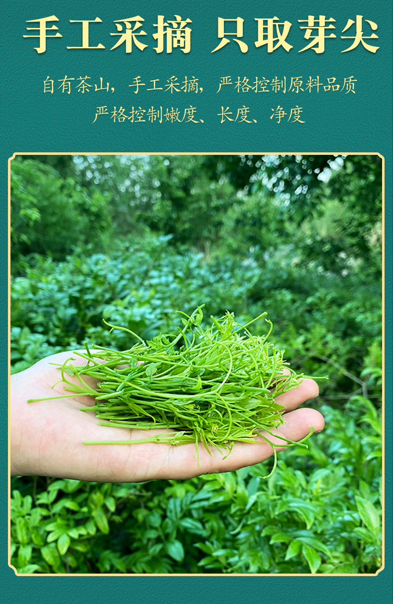 莓茶张家界旗舰店芽尖湘永顺龙须青安霉茶非野生茅岩恩施藤茶买1发5罐