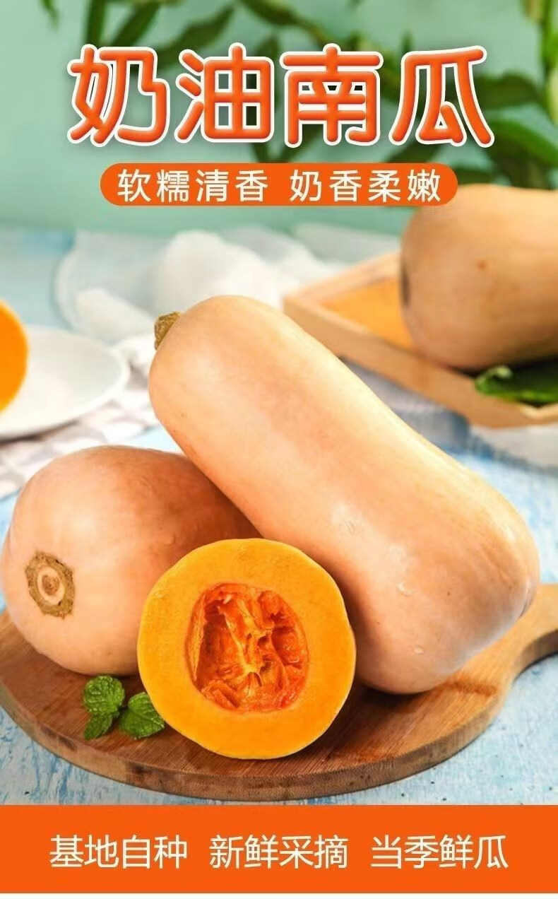 奶油南瓜牛奶小南瓜新鲜蔬菜宝宝农家自种老南瓜3/9斤 9斤【图片 价格