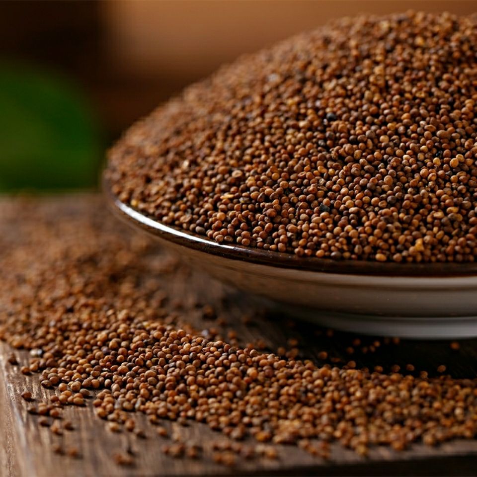 无硫菟丝子中药材泡茶兔丝子药材配枸杞女贞子淫羊藿巴戟天 菟子100克