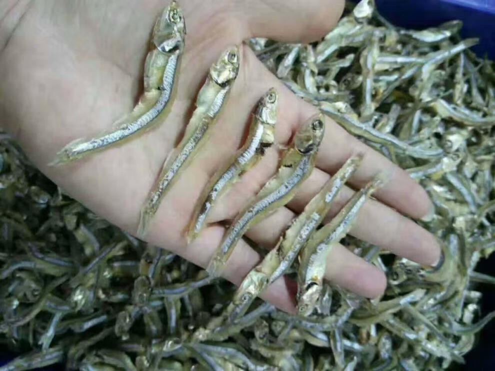 潮汕南澳特产海水自晒饶鱼仔干金线海燕鱼干小鱼干干货海鲜饶鱼仔400g