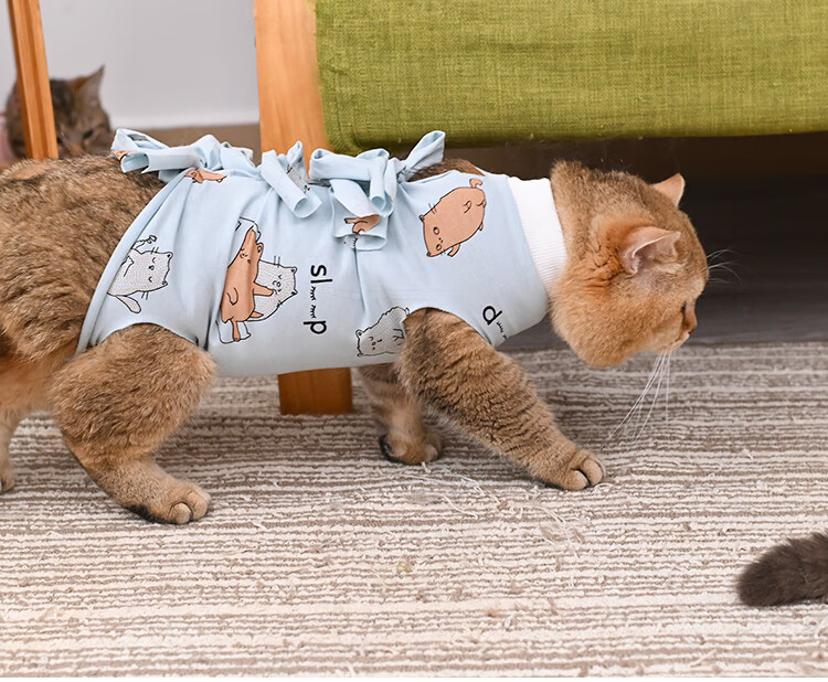 猫咪术后护理服 猫咪母猫绝育服手术服断奶衣服棉布透气生理服宠物