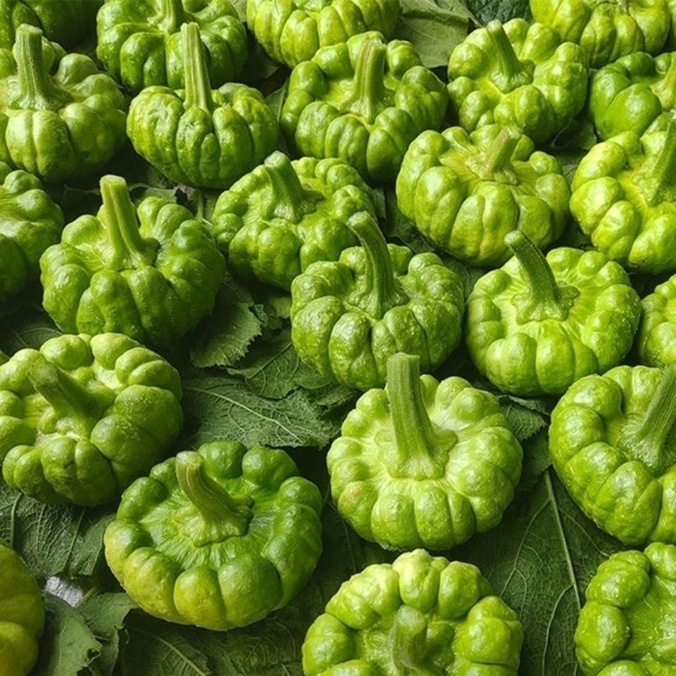 云南姜柄瓜新鲜小麦瓜面瓜小南瓜嫩南瓜小瓜新鲜蔬菜农家自种蔬菜 2斤