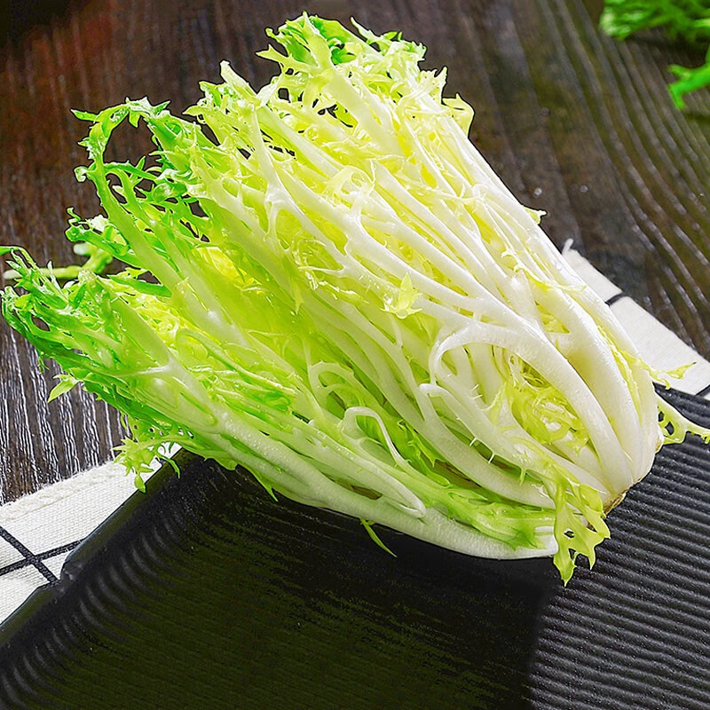 新鲜黄心苦菊苦细叶生菜 新鲜苦苣九芽狗牙菜苦细叶生吃蔬菜沙拉西餐