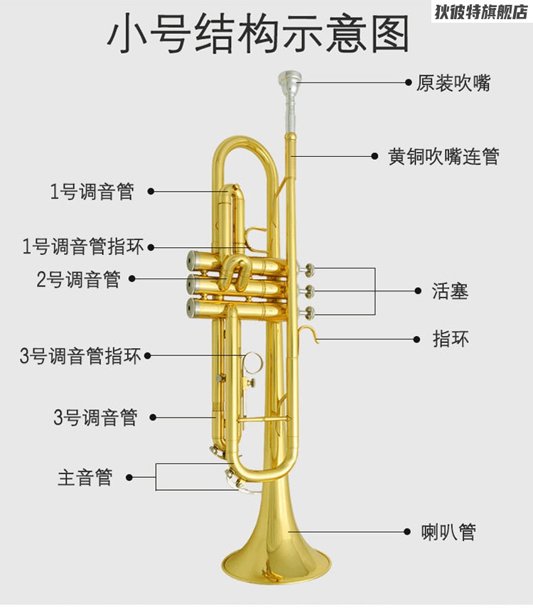 小号吹冲锋号简谱图片