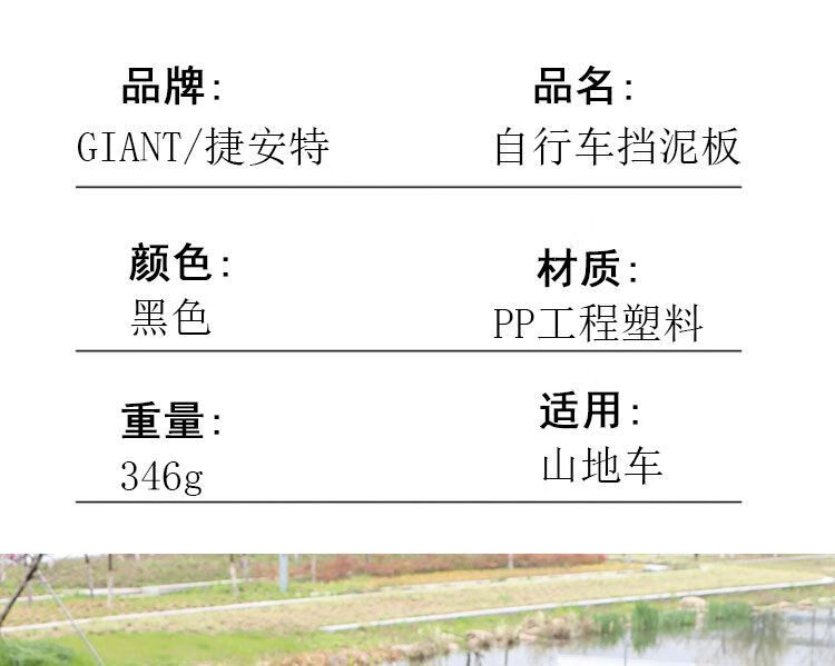 a923f8ed2af68765.jpg