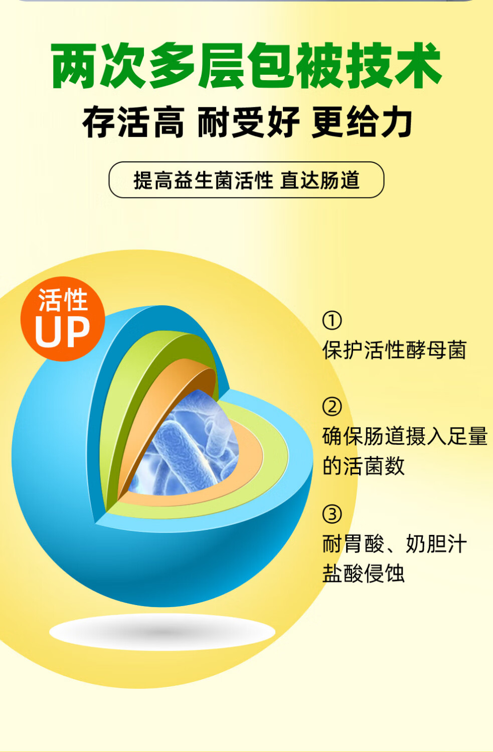 10，賽菲普雙專利寵物益生菌貓咪狗狗專用活性益生菌調理腸胃腹瀉嘔吐拉稀 五條躰騐裝