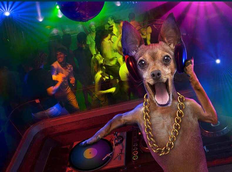 正版车载cddj碟重低音劲爆夜店工体dj舞曲汽车载流行歌曲cd音乐碟片用