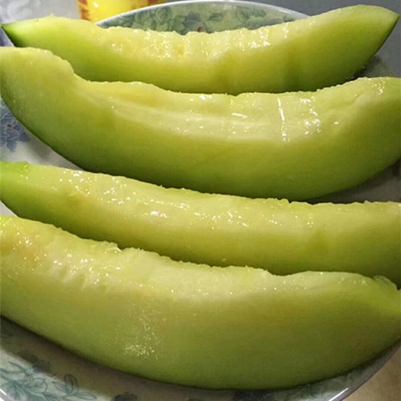 白雪蜜口口蜜瓜显现水果哈蜜瓜1个装