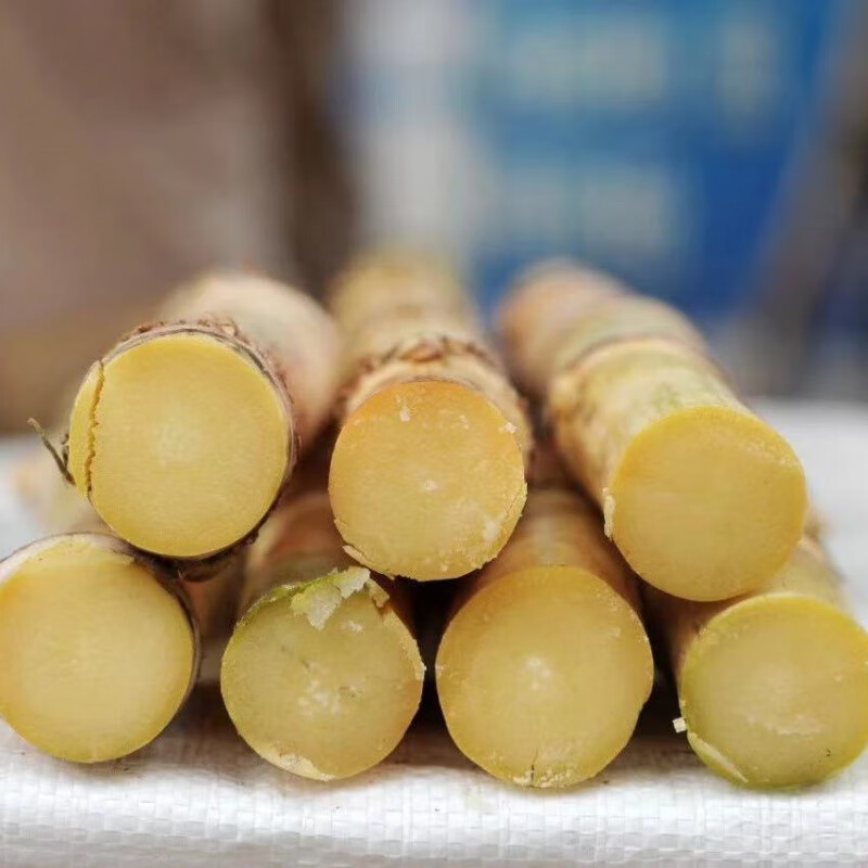 广西木格白玉甘蔗当季直发中段白甘蔗 5斤10斤装新鲜水果爽口多汁