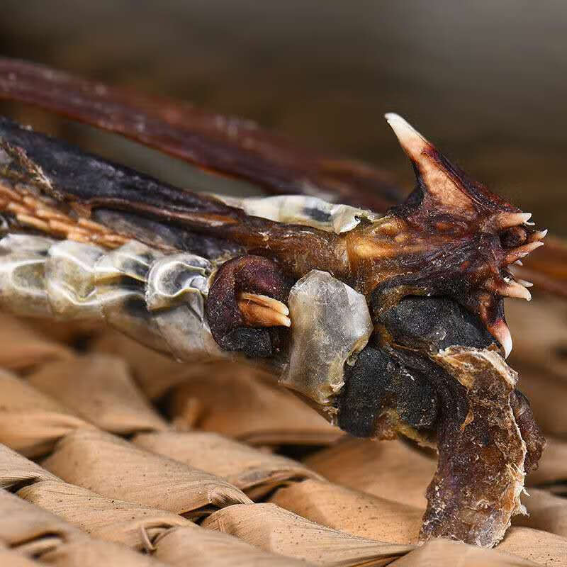伟博蛇鞭 中药材 蛇鞭干 泡酒蛇鞭 蛇鞭酒 优质干蛇鞭 5条 20克【图片