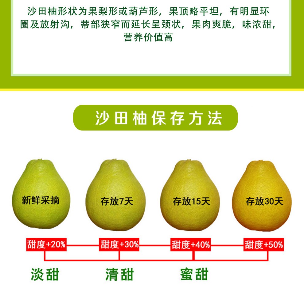 蕉岭助农馆梅州沙田柚子纯甜不酸正宗广东梅县特产金柚应季新鲜水果