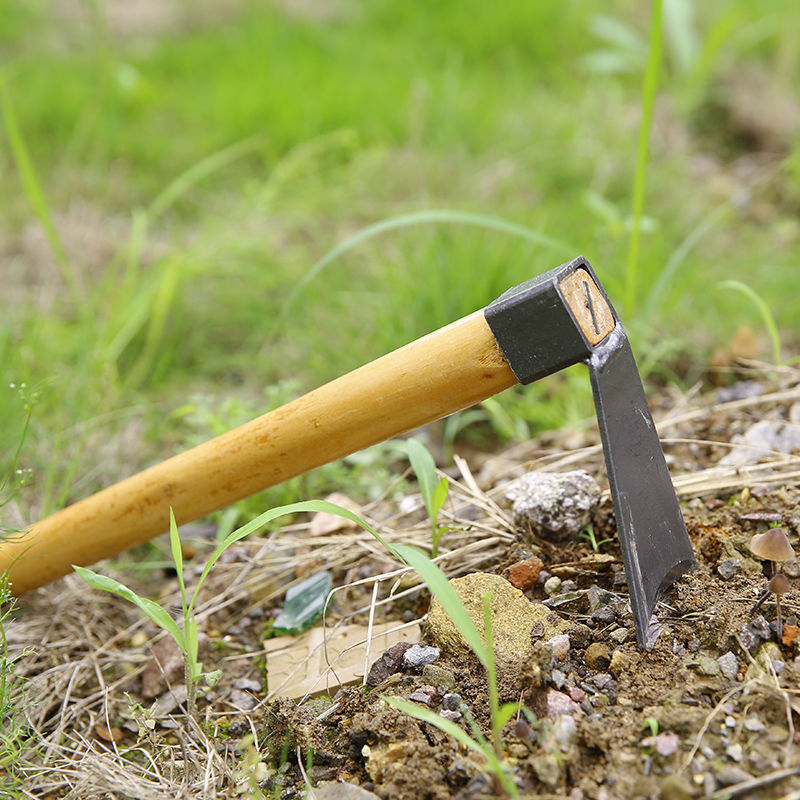 梦动小头带把农具工具农用户外两用种菜园艺园林种花除草耙子劲诚 小