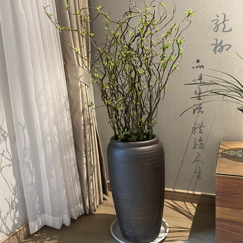 龙柳大型水培植物鲜枝四季好养树枝装饰室内庭院水养鲜切绿植造景不含