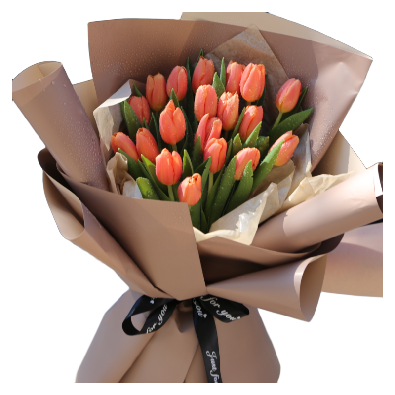 精美郁金香花束北京同城爱意表达友情传递进口郁金香花束花乐康语5支