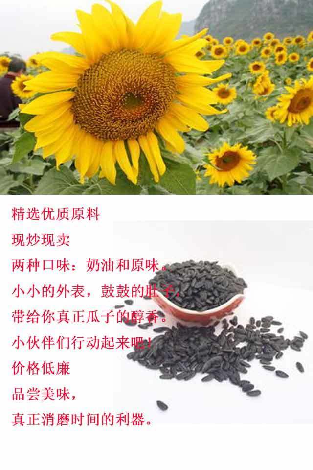 内蒙黑珍珠小瓜子2斤1斤批发生油葵瓜子五香椒盐小油葵花子奶油味原味