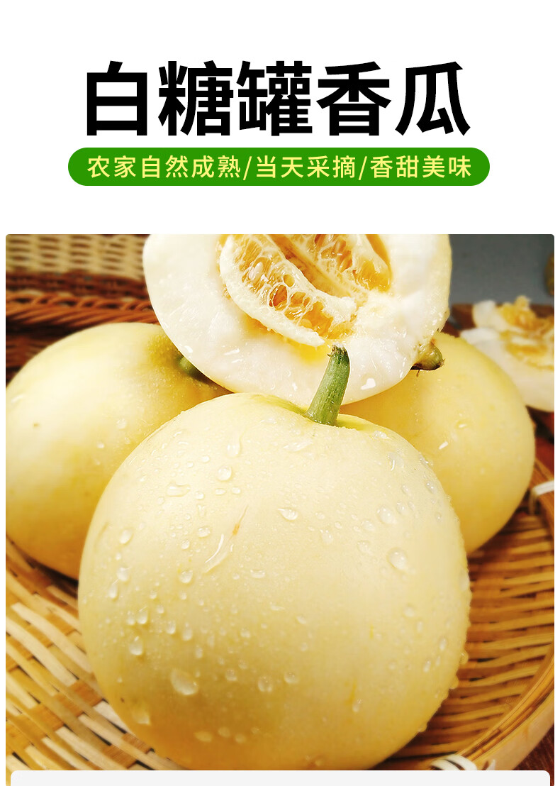 白糖罐香瓜甜瓜5斤新鲜水果时令应当季整箱脆皮面蜜瓜京密 精选【图片