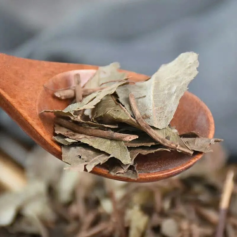 平地木 矮地茶中藥材500克葉下紅 葉底紅 矮腳樟雪裡珠中草藥【圖片