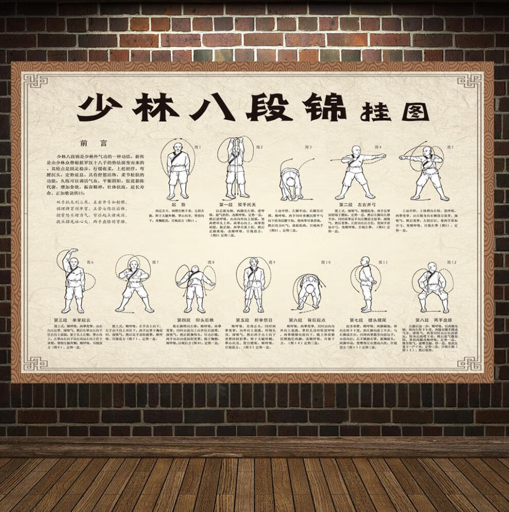八段锦挂图中医养生海报文化宣传展板养生图片挂画养生馆海报 五禽戏