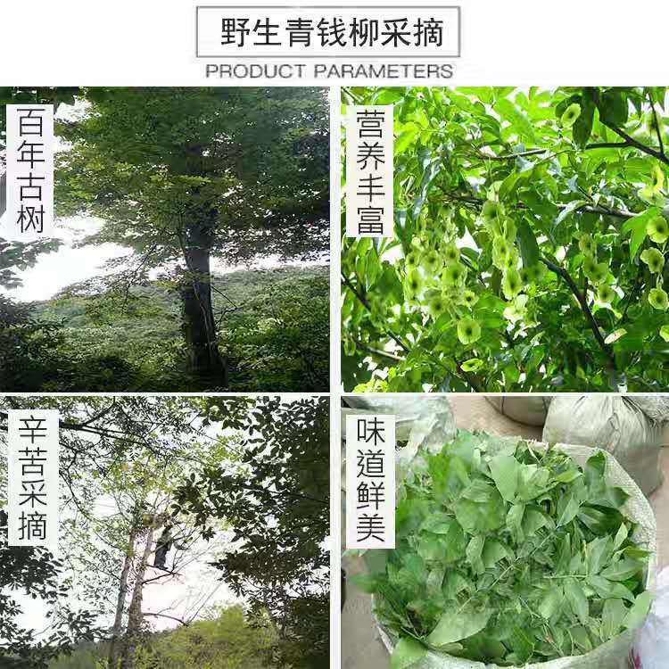 d3b847dc2cb762f6.jpg