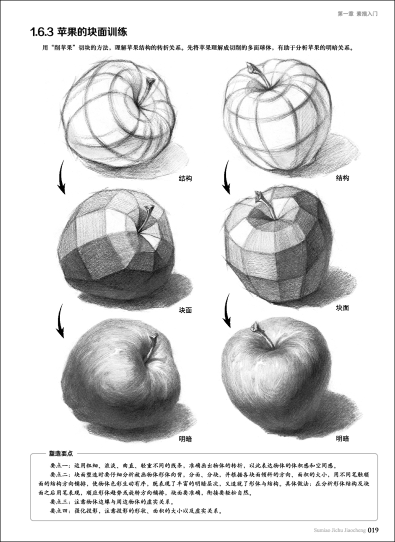 石膏几何体头像色彩静物入门自学零基础绘画教程4石膏头像素描基础