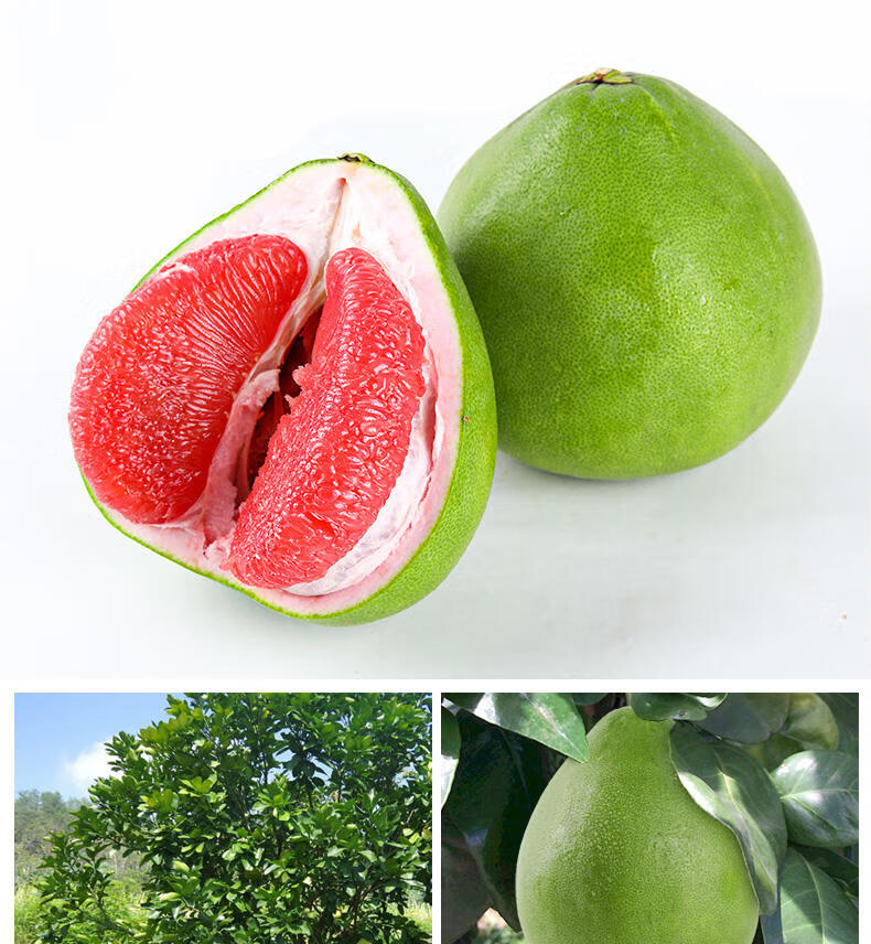 泰柚 红宝石柚子 红心柚子新鲜应季水果礼盒装 6颗精选装【图片 价格