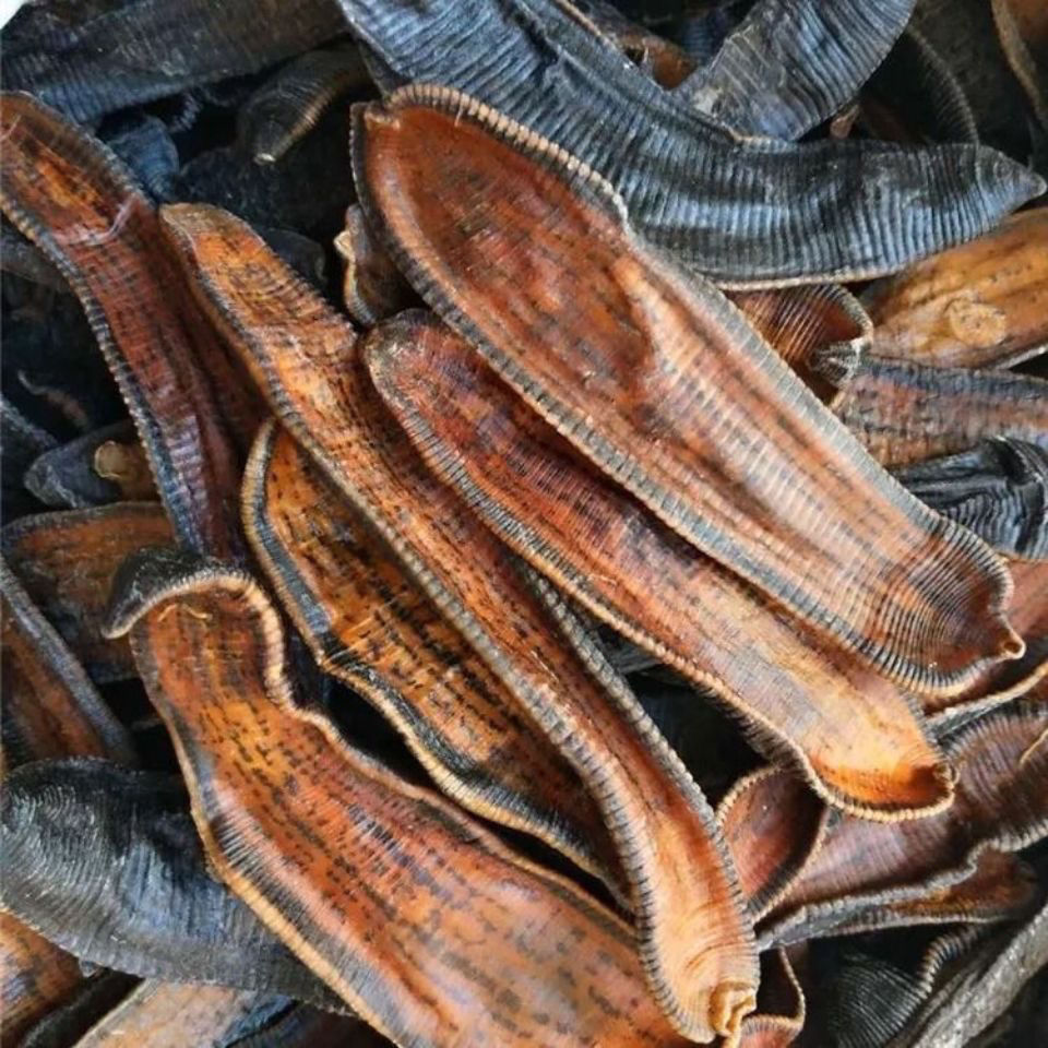 有仁堂水蛭蚂蝗清水金边水蛭吊干货正宗磨粉水蛭100克水蛭